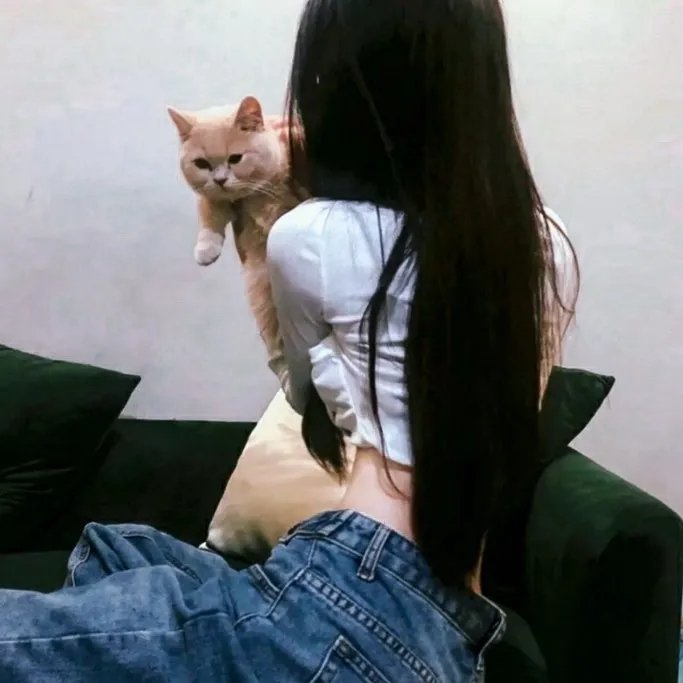 赌豪